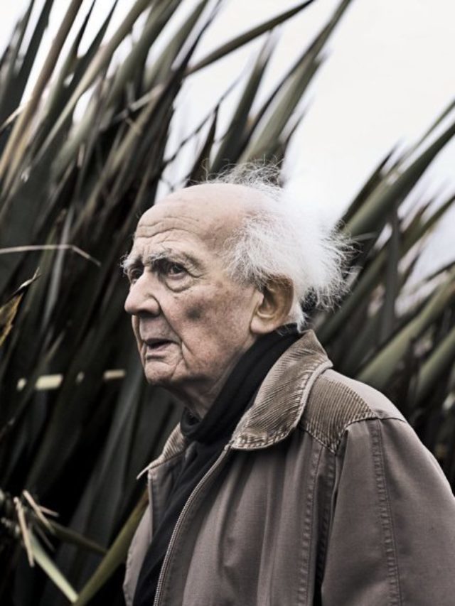 O tédio e a juventude em Zygmunt Bauman