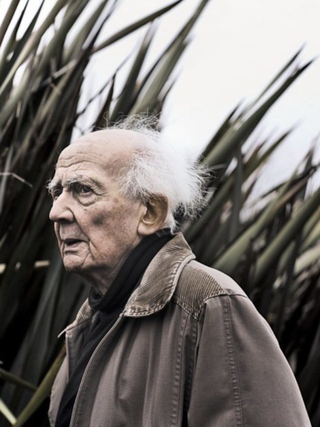 A crise da democracia – Zygmunt Bauman