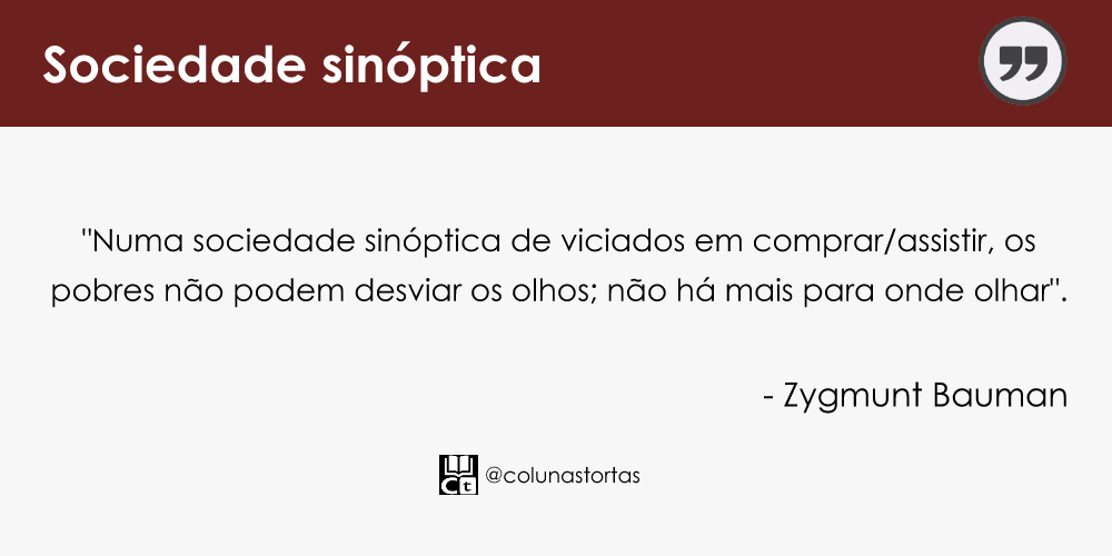 Sociedade sinóptica