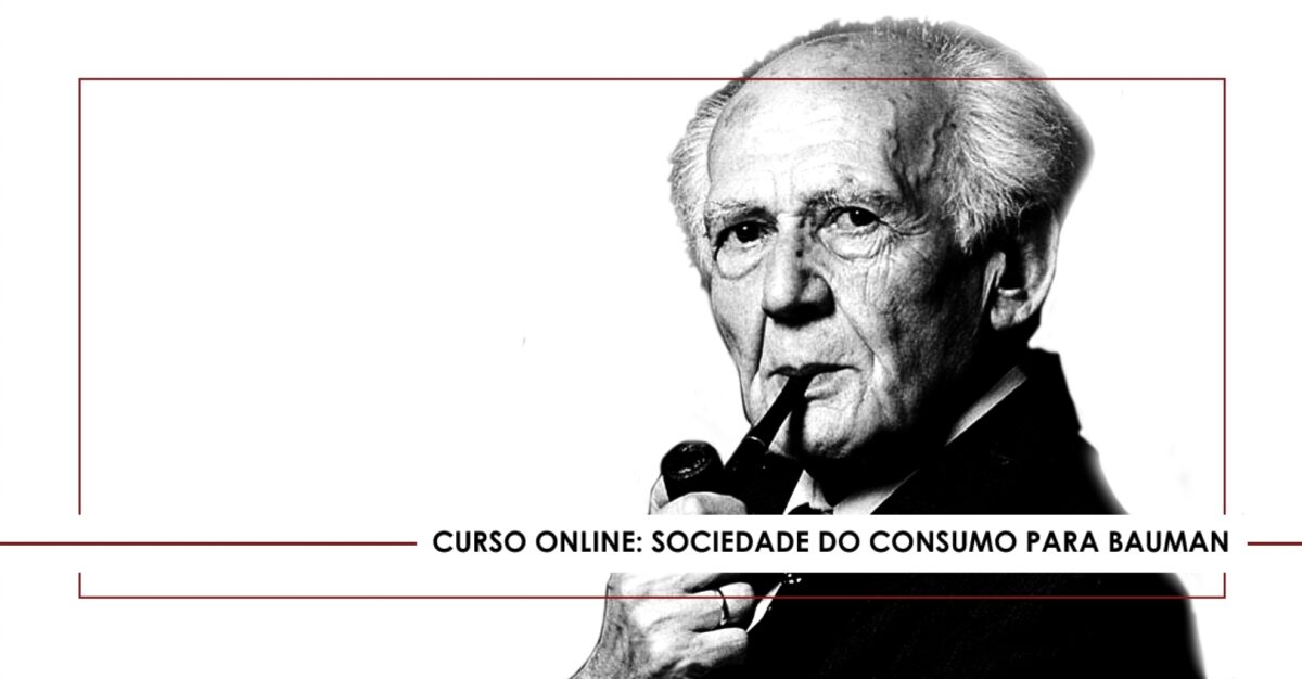 Curso online: Sociedade do consumo para Bauman