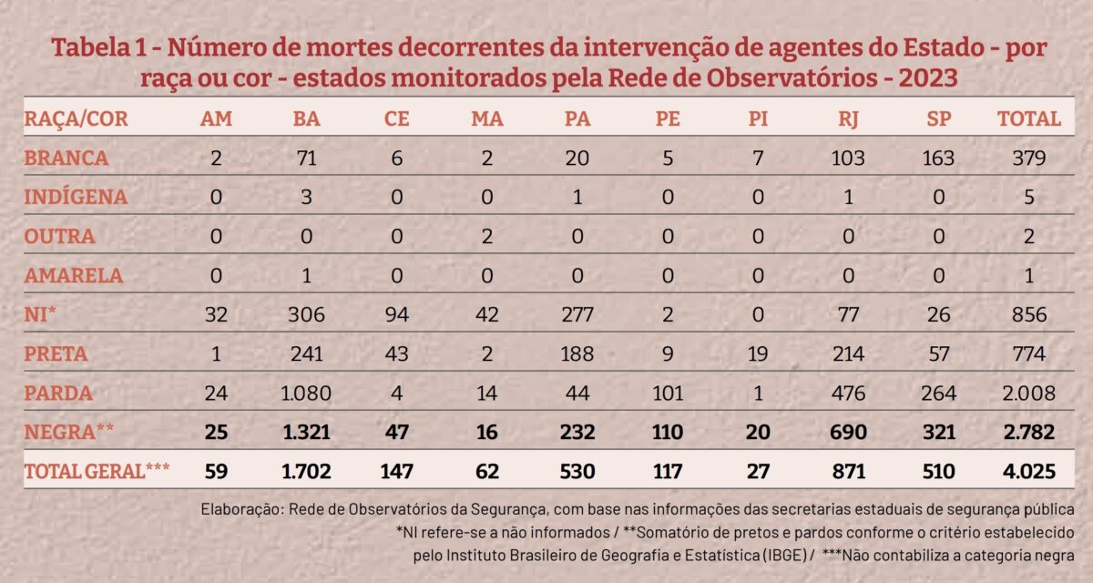 Quantidade de mortes de pessoas negras. Fonte: Pele Alvo (2024).